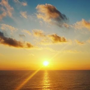 Meet your Posher, Lacey